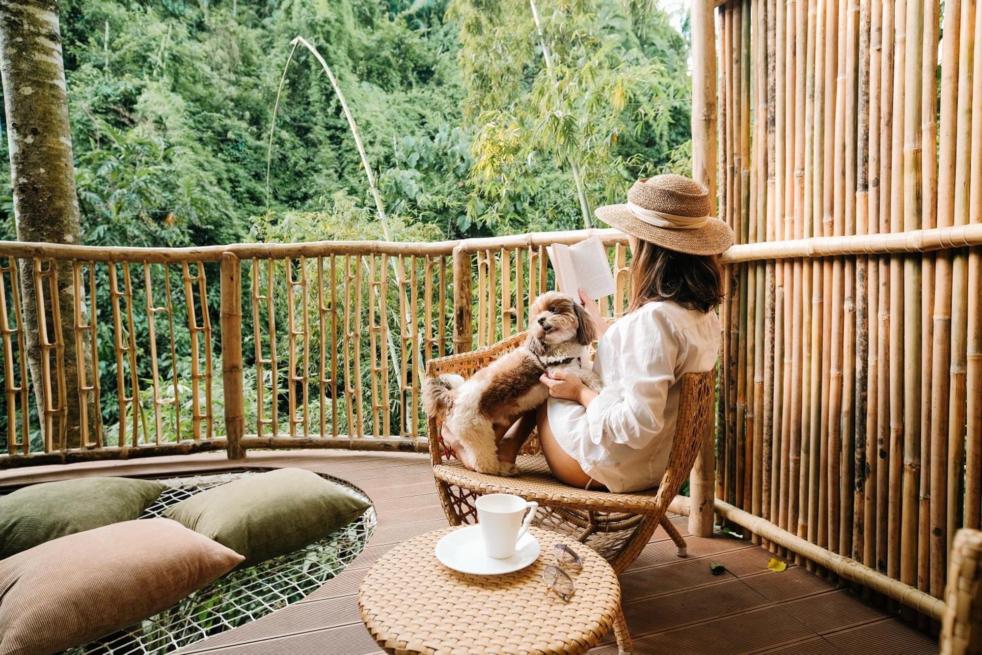 Treehouse De Valentine Villa Balamban Exteriör bild