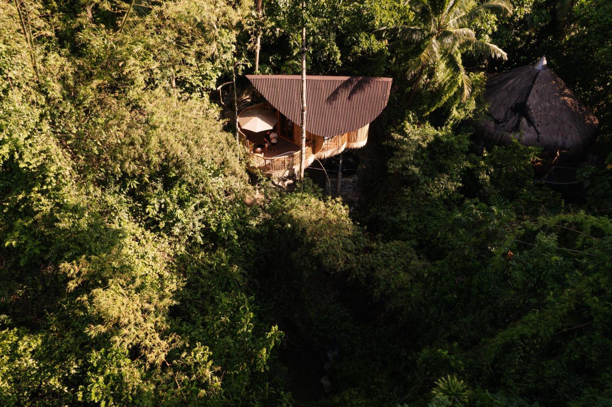 Treehouse De Valentine Villa Balamban Exteriör bild
