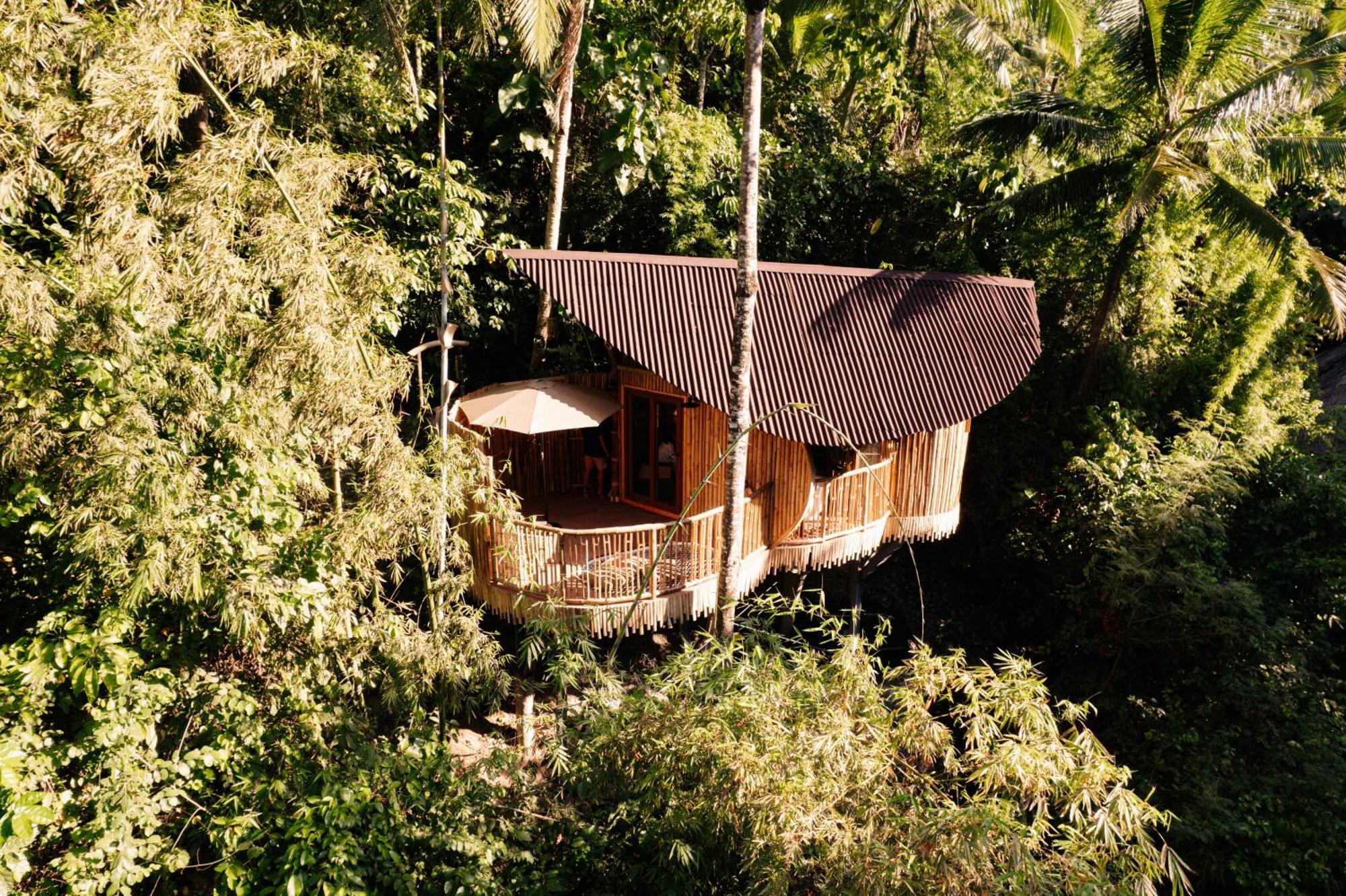 Treehouse De Valentine Villa Balamban Exteriör bild